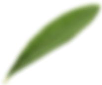 Leaf Blur Front Left
