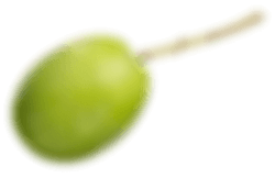 Olive Blur Right