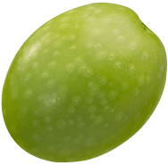 Olive Front Left