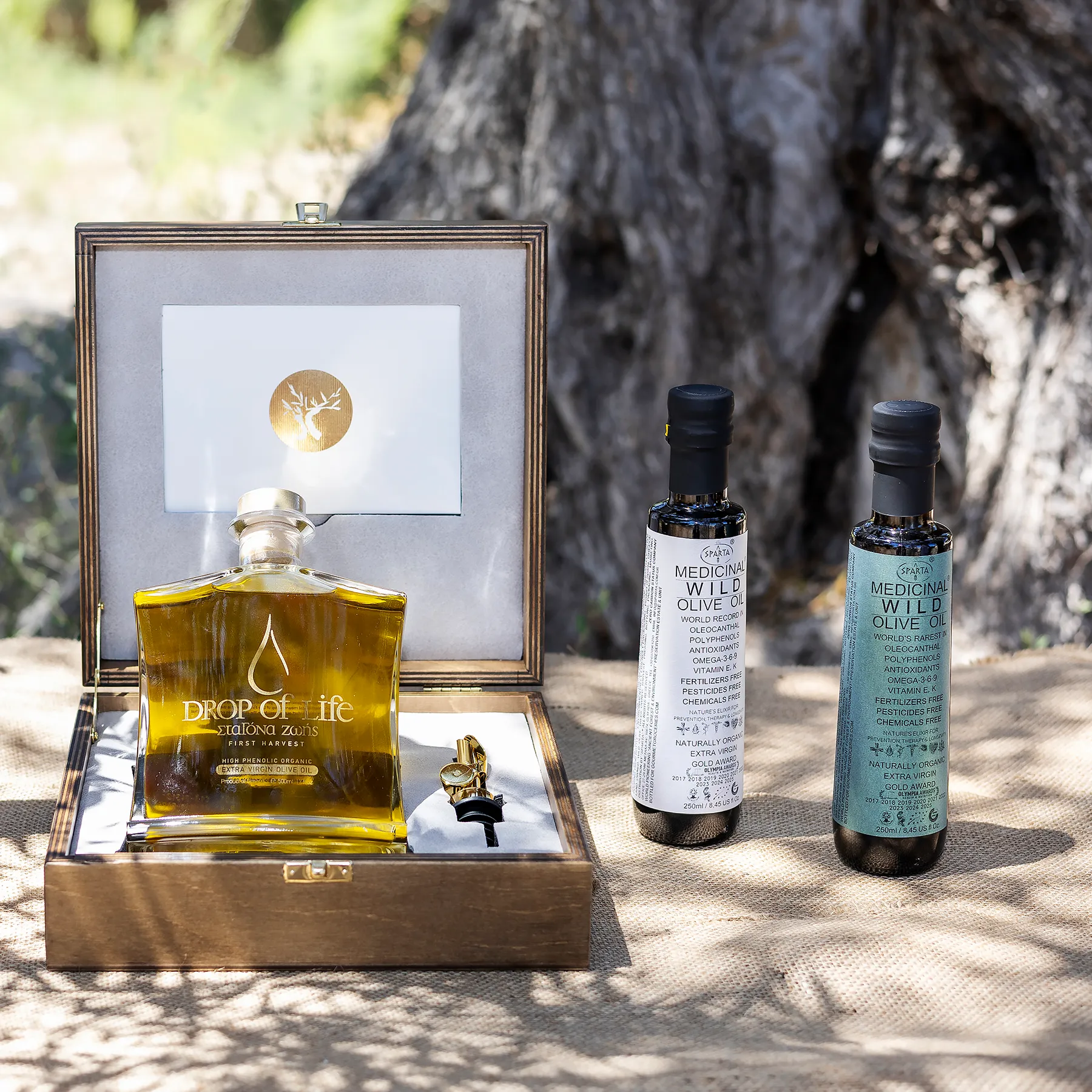 Official Recognition of Sparta Medicinal Wild Olive Oil
