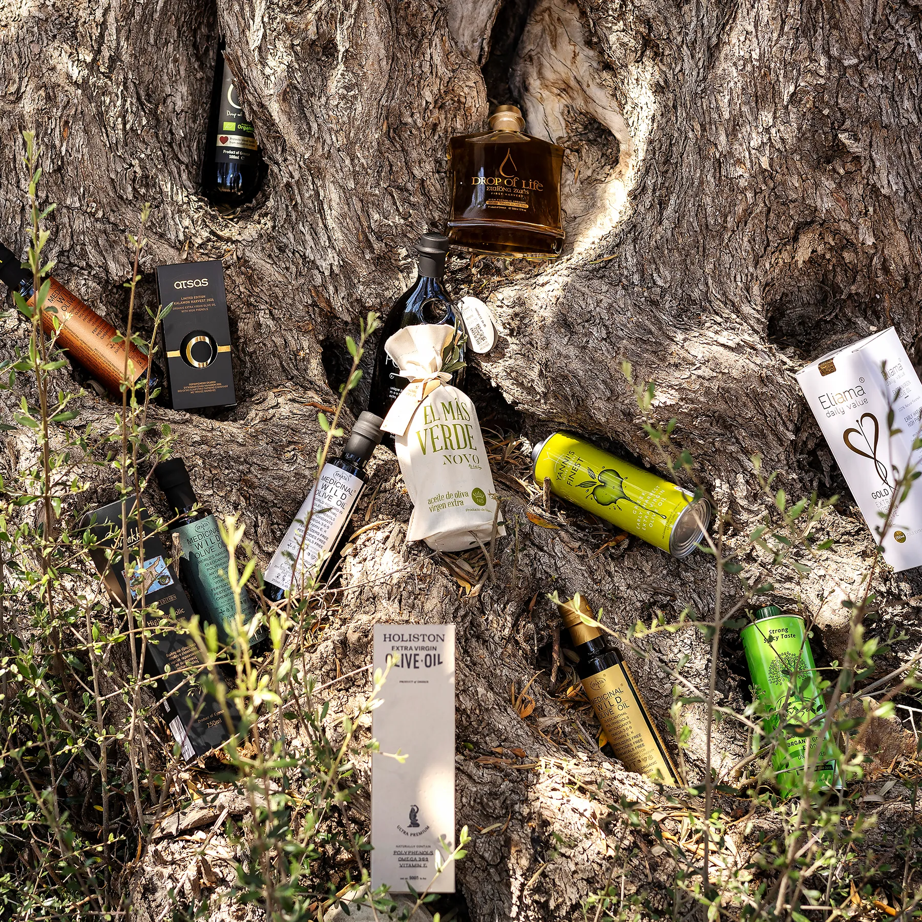 A Guide to High-Phenolic Medicinal Olive Oil
