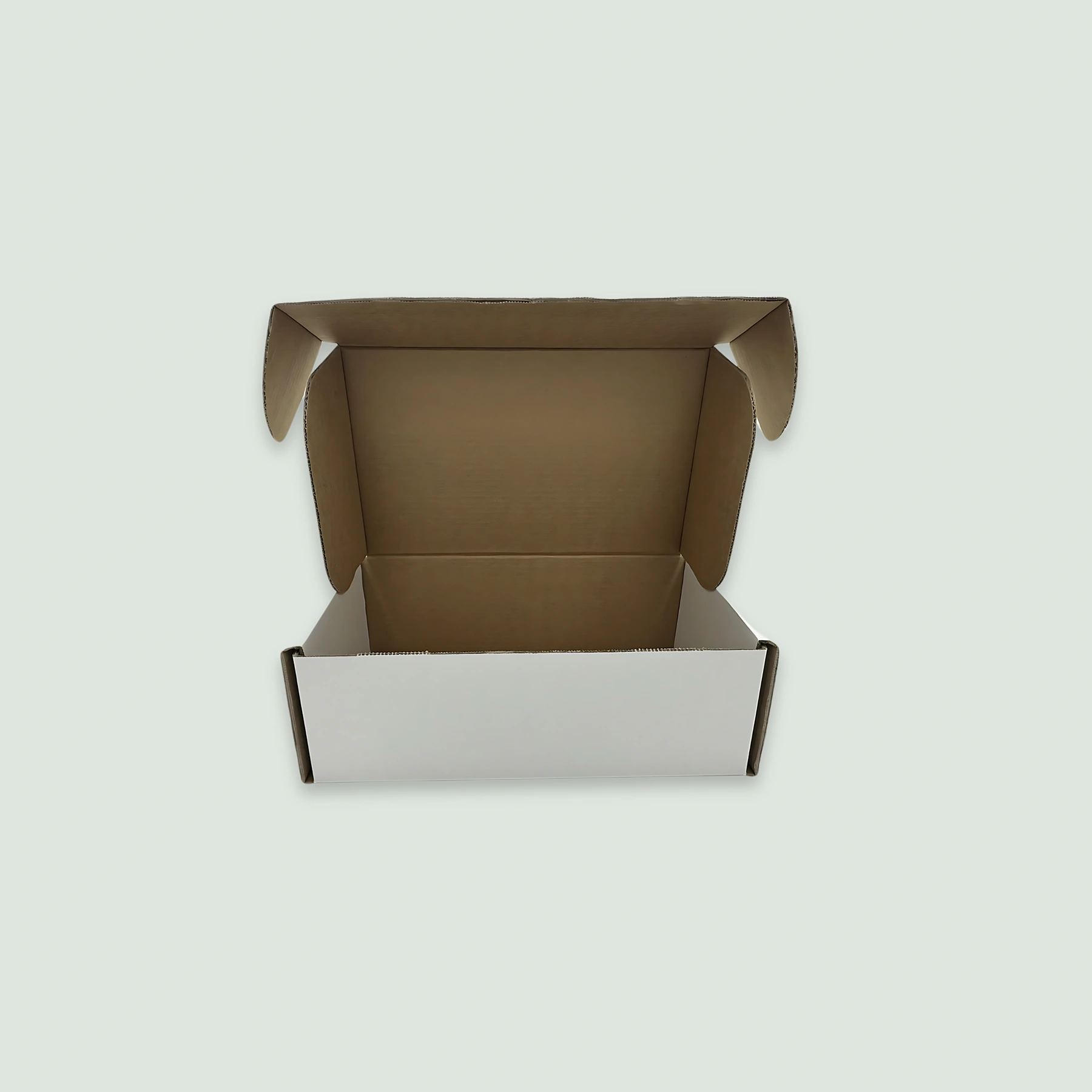 Gourmet Carton Box 2