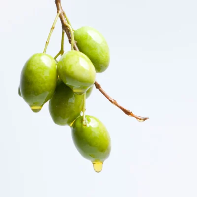 Close-up of ripe olives on a branch, showcasing their vibrant colors and the quality of fruit used for Eliama Daily Value EVOO.