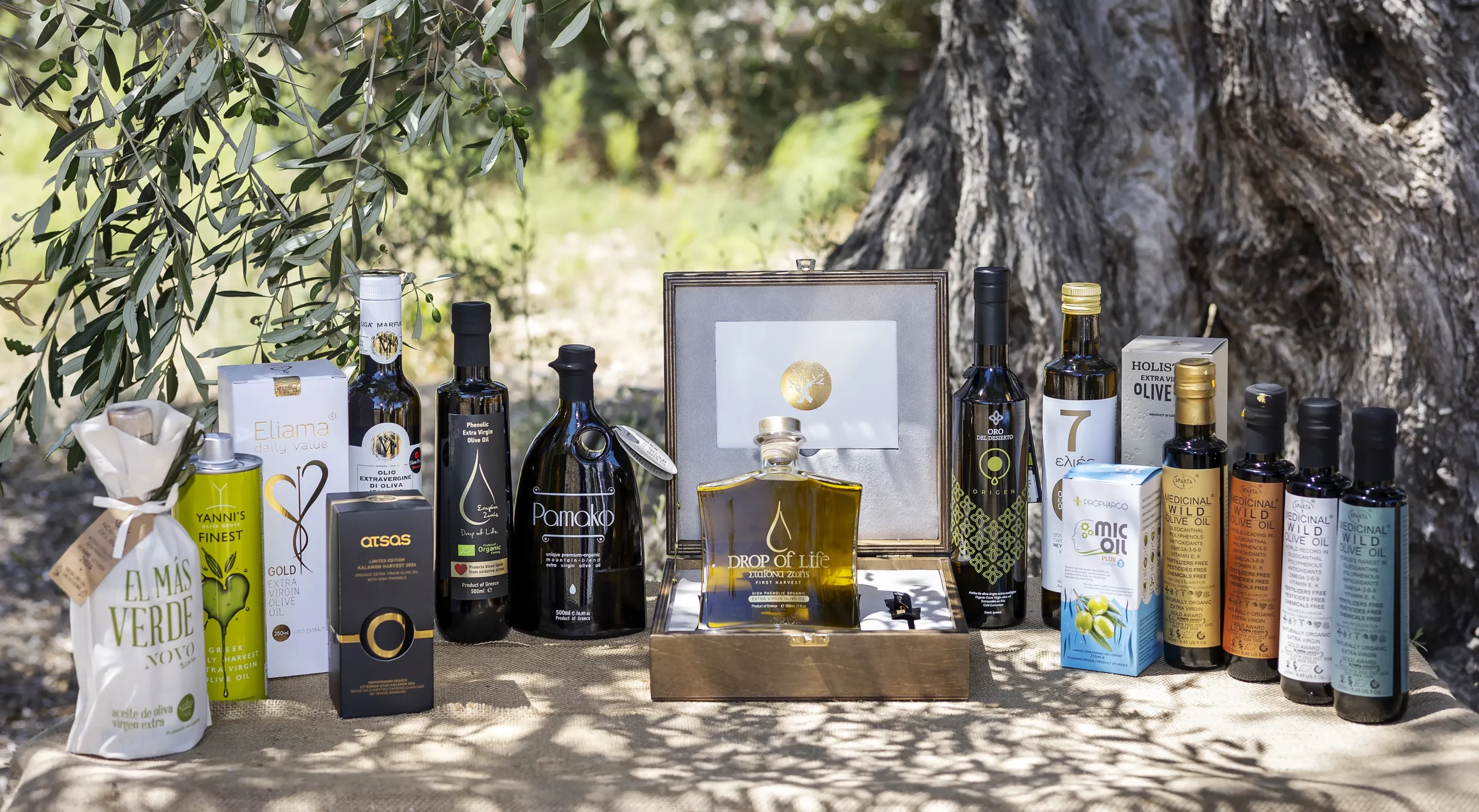 Phenols In Extra Virgin Olive Oil Are Crucial For Health Benefits