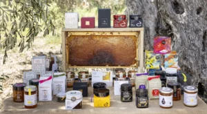 Greek raw organic honey assortment displayed under olive tree