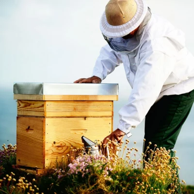 Bee Keeper of Wild Pine Honey from a 100g jar with a dark amber color, sourced from the foothills of Olympus, Greece.