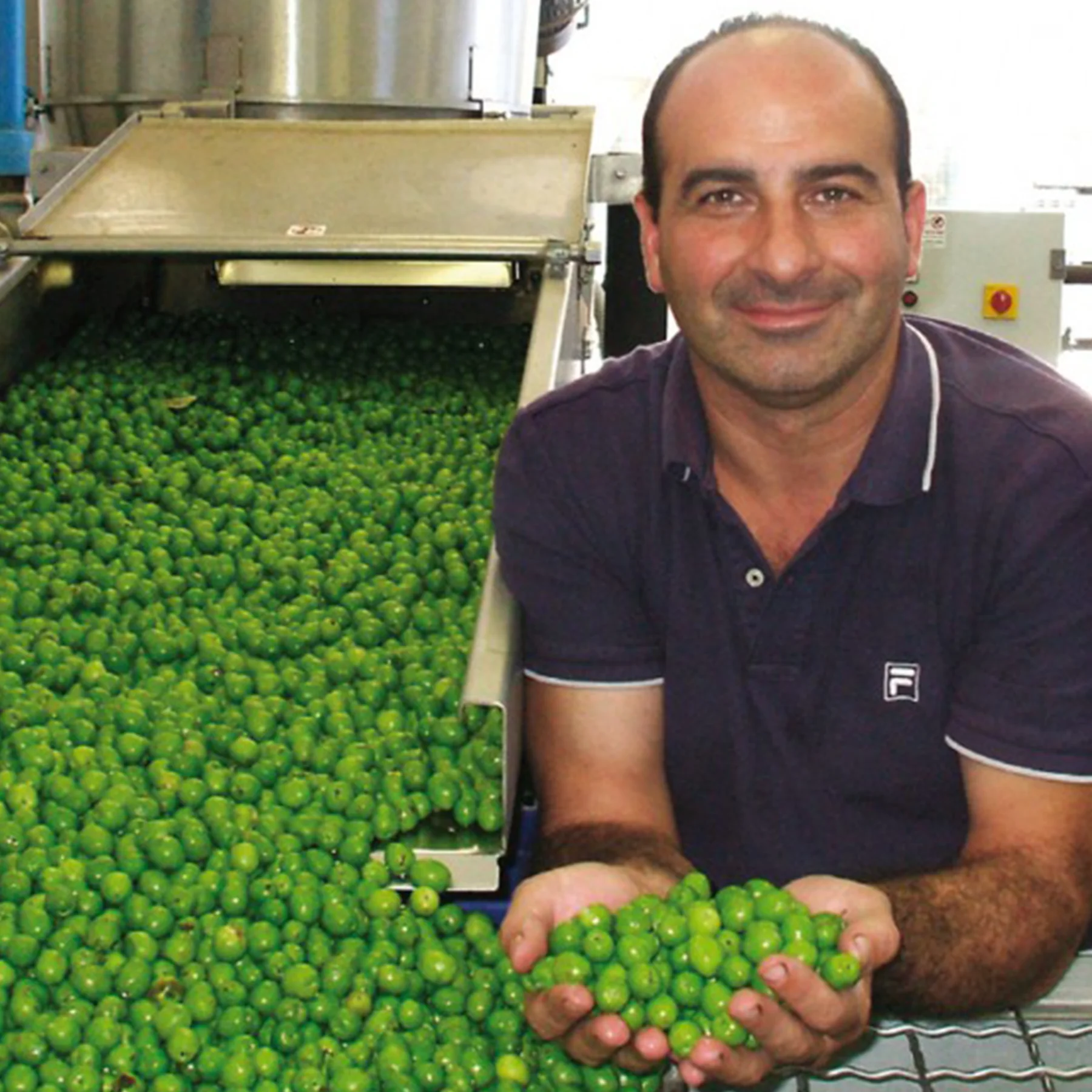 Golden-green Quattrociocchi Olivastro Organic olive oil