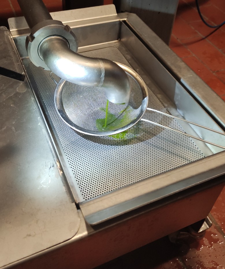 sparta medicinal greek olive oil been pressed and giving its green juice