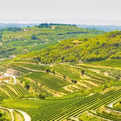 Fidora family’s high-altitude organic vineyard in Valpolicella Classica