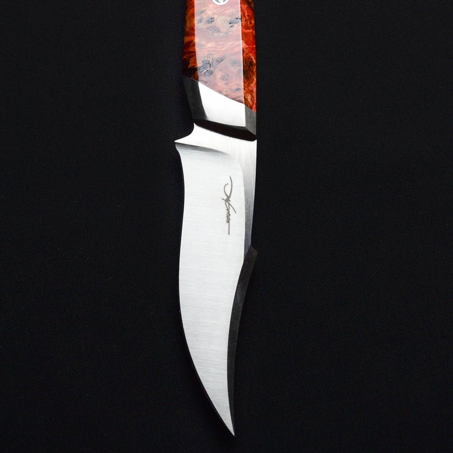 Dikristo Exclusive Theseus General Purpose Knife - Image 3