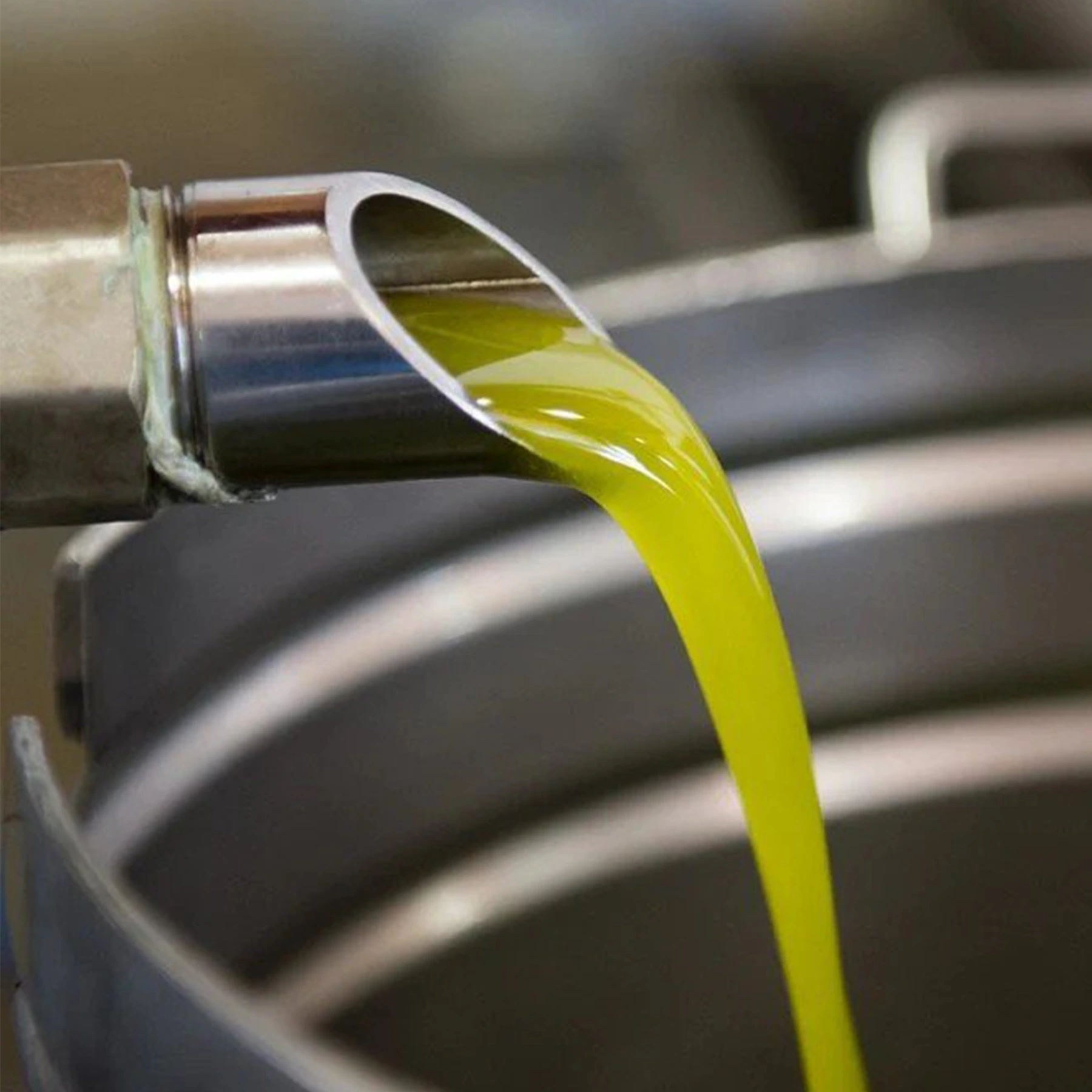 early harvest olive oil