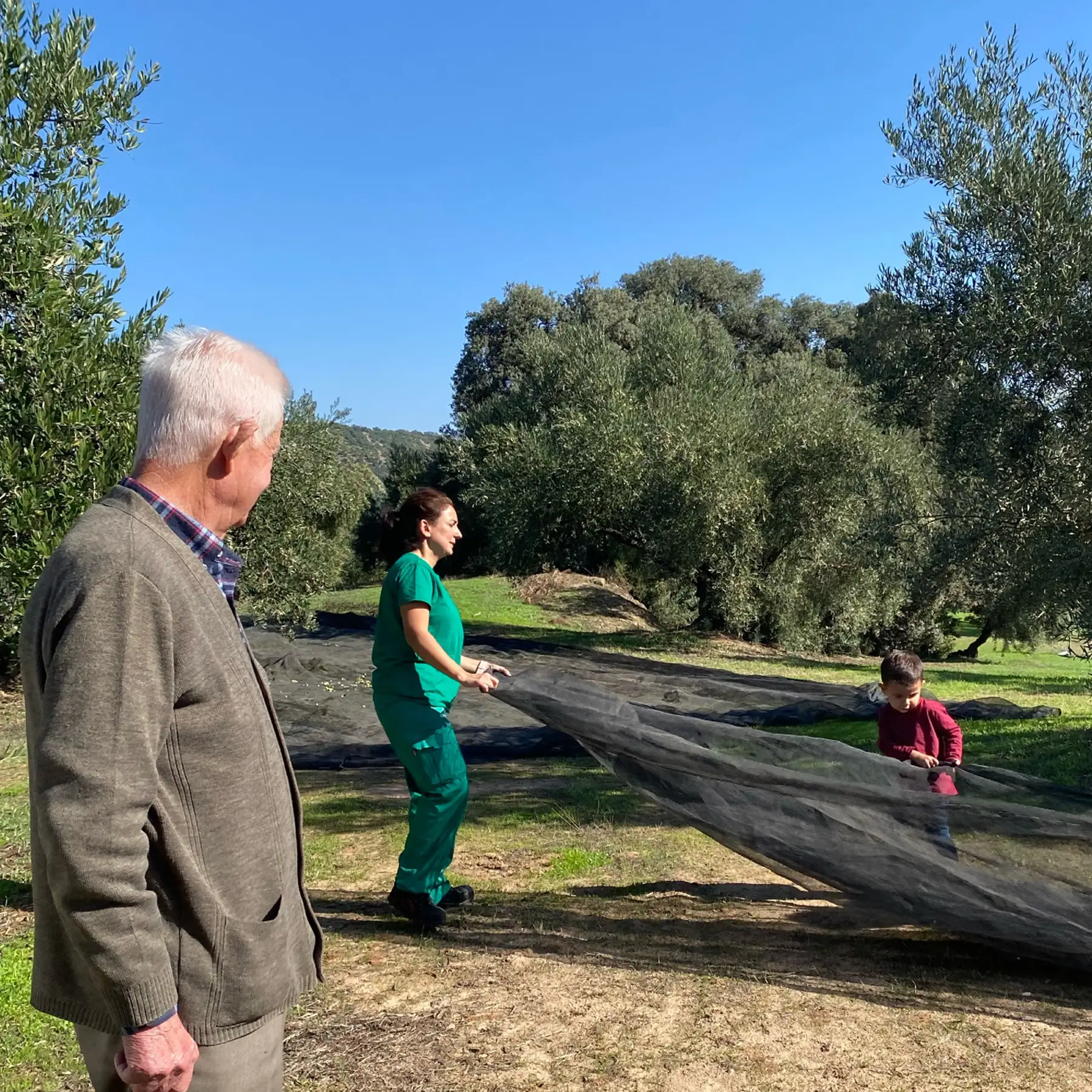 Traditional olive oil production process by Almazaras de la Subbética