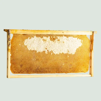 Raw Greek Honeycomb Refill – Pure & Unframed