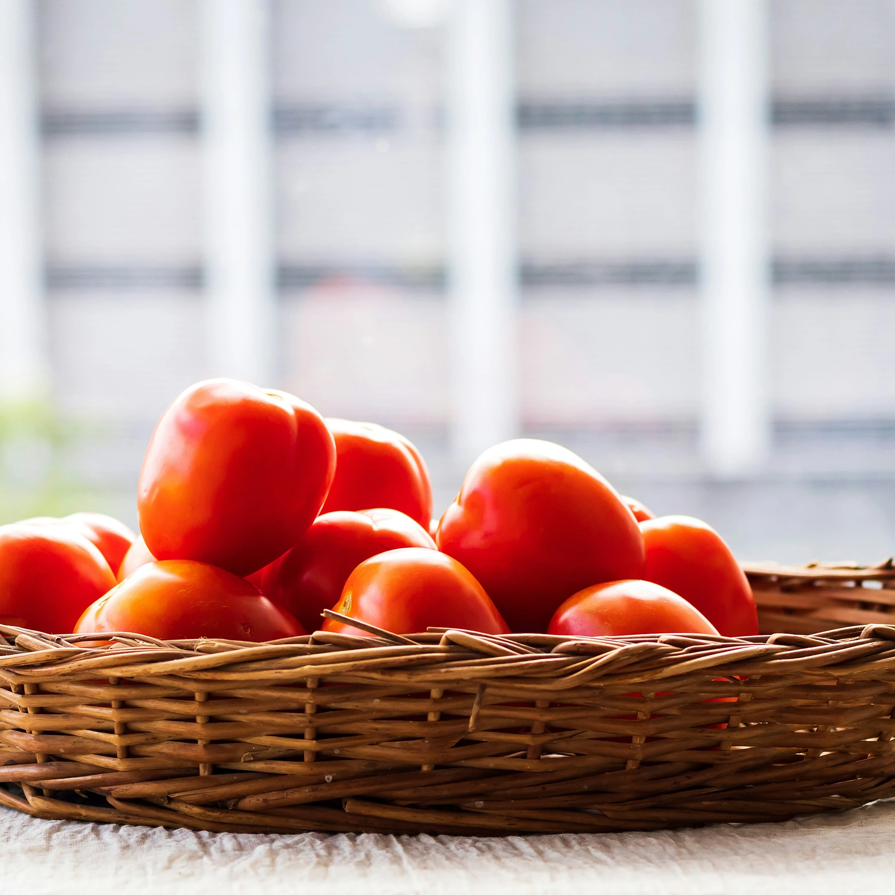 Geodi tomatoes